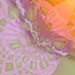 pastels